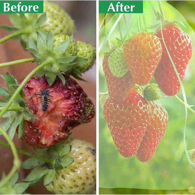 100 sacs de protection de fruits, sacs en filet verts avec cordon de serrage, sacs en filet pour fruits de jardin, protecteurs, 20*30 cm.-Lytech - Image 3