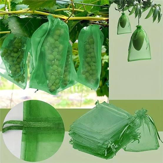 100 sacs de protection de fruits, sacs en filet verts avec cordon de serrage, sacs en filet pour fruits de jardin, protecteurs, 20*30 cm.-Lytech - Image 1