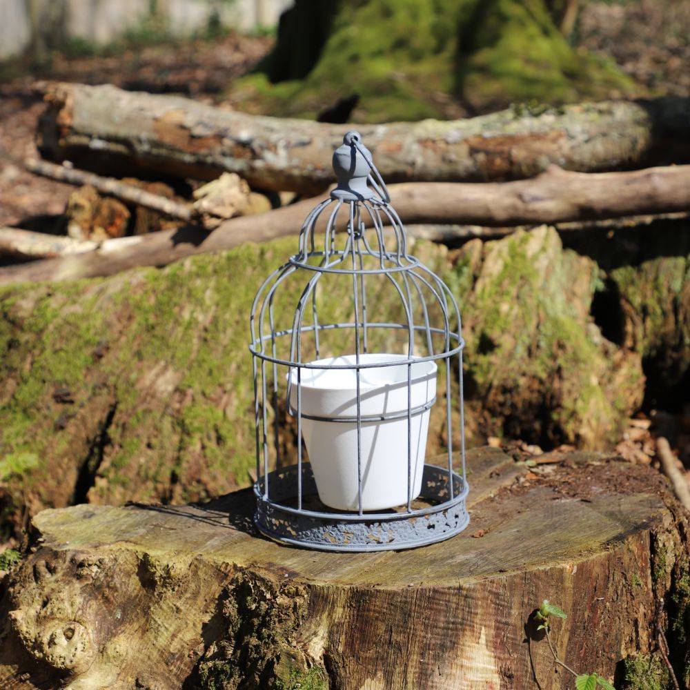 Cage à oiseaux décorative ancienne porte-plantes métal gris 35cm Chemin de campagne - Image 3
