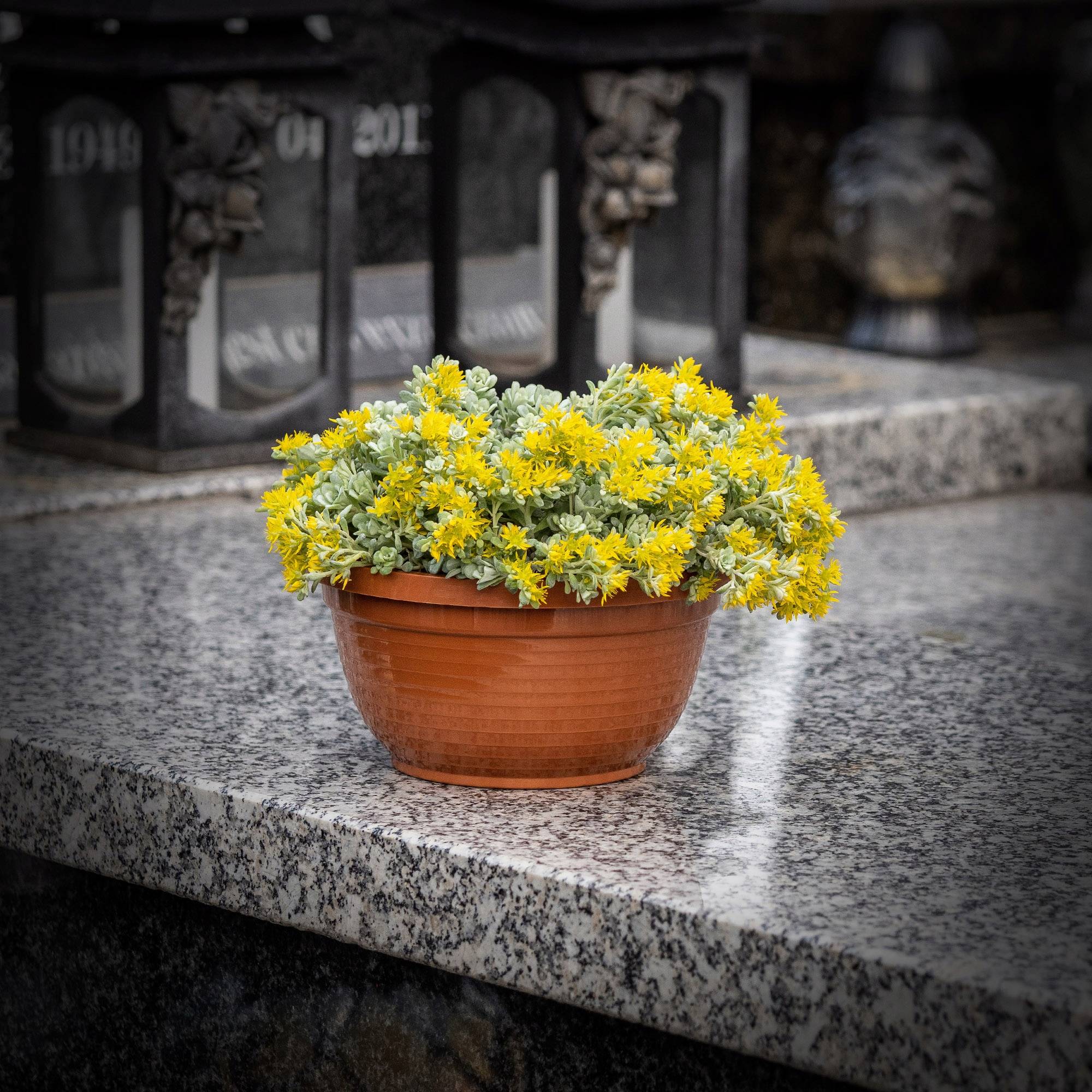 Bol de Cimetière Anti-Intempéries - Pot de Fleurs Plastique (20cm) - Image 5