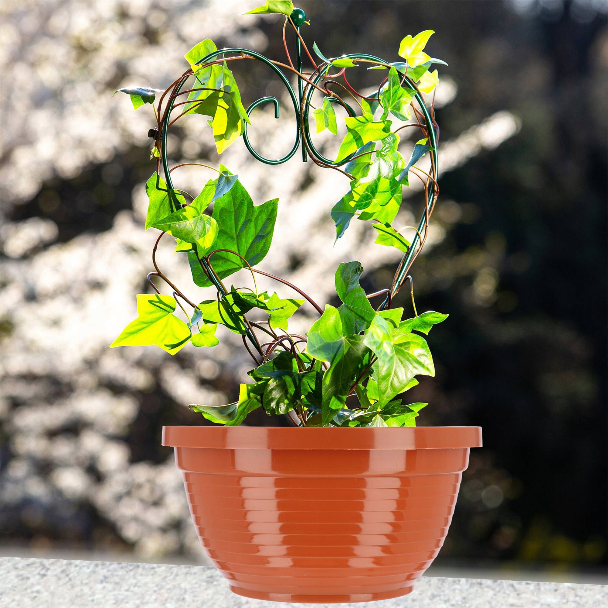 Bol de Cimetière Anti-Intempéries - Pot de Fleurs Plastique (20cm) - Image 7