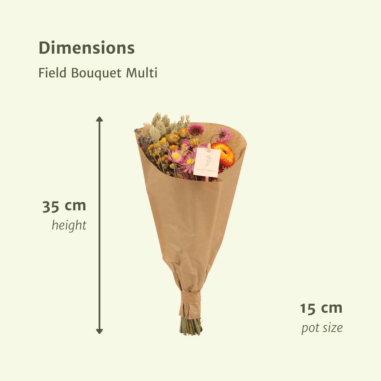 PANGIVO - Bouquet de fleurs séchées multicolore 15 x 15 x 35 cm - PANGIVO - Image 2