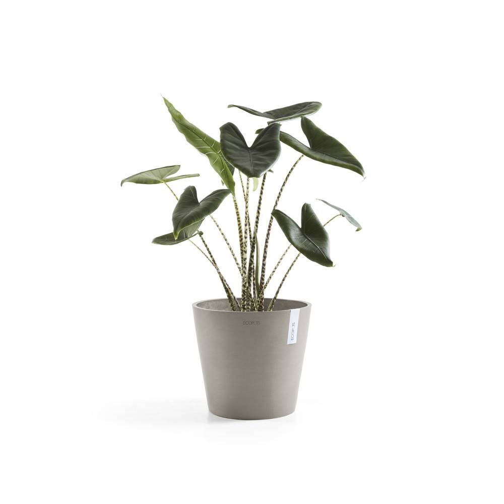 Ecopots - Pot Rond Amsterdam 40 Taupe + réservoir d'eau - Ø 40 x H. 35 cm - 28 L ECOPOTS - Image 1