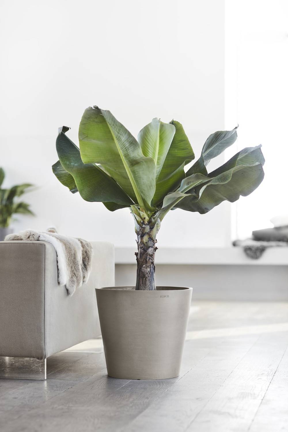Ecopots - Pot Rond Amsterdam 40 Taupe + réservoir d'eau - Ø 40 x H. 35 cm - 28 L ECOPOTS - Image 5