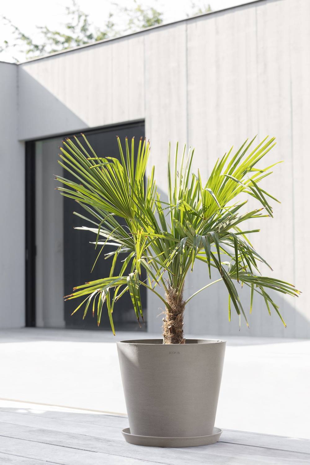 Ecopots - Pot Rond Amsterdam 40 Taupe + réservoir d'eau - Ø 40 x H. 35 cm - 28 L ECOPOTS - Image 3