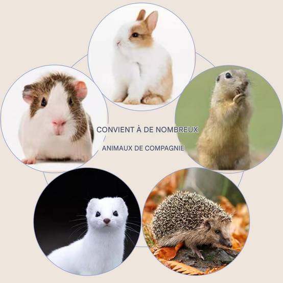 Sacs jetables pour petits animaux DtopbuyAge - Image 3