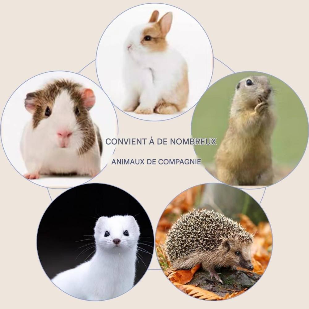 Sacs jetables pour petits animaux DtopbuyAge - Image 3