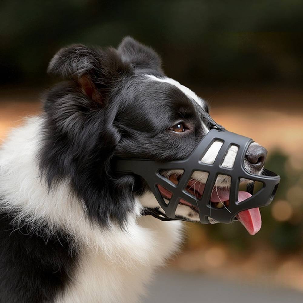 Muselière pour chien XL - IntiMeg - Image 2