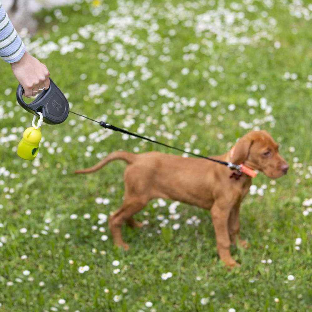 Ferplast - Ferplast Laisse Chien Enrouleur FLIPPY ONE, Laisse pour Chiens de Taille Moyenne jusqu'à 20 Kg. Cordon Extensible max 5 m. Bouton de verrouillage et - Image 4