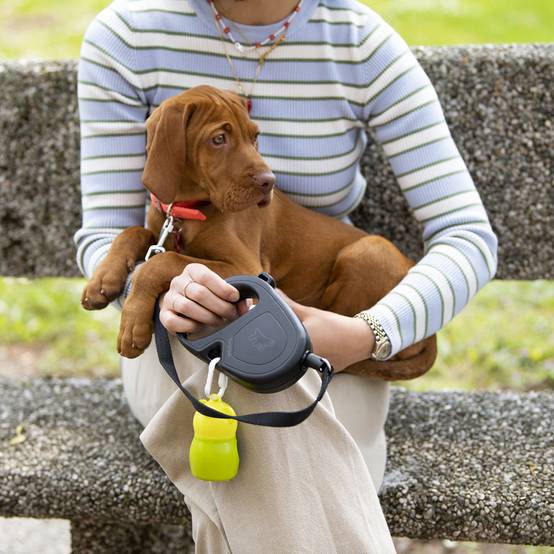 Ferplast - Ferplast Laisse Chien Enrouleur FLIPPY ONE, Laisse pour Chiens de Taille Moyenne jusqu'à 20 Kg. Cordon Extensible max 5 m. Bouton de verrouillage et - Image 6