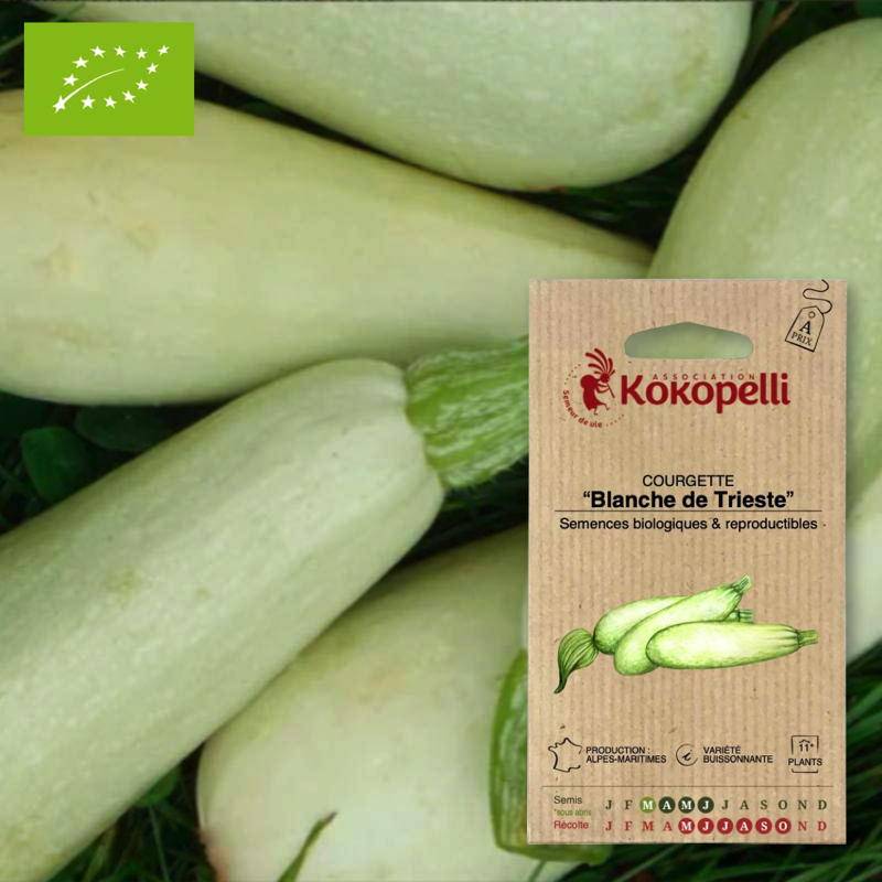 Association Kokopelli - Courgette De Trieste- Graines bio à semer - Image 1