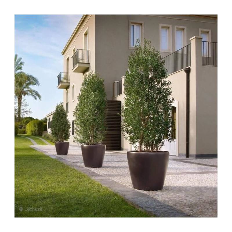 Lechuza - Pot De Fleur Lechuza Classico Premium 70 - Kit Complet, Anthracite Métallisé - Image 5