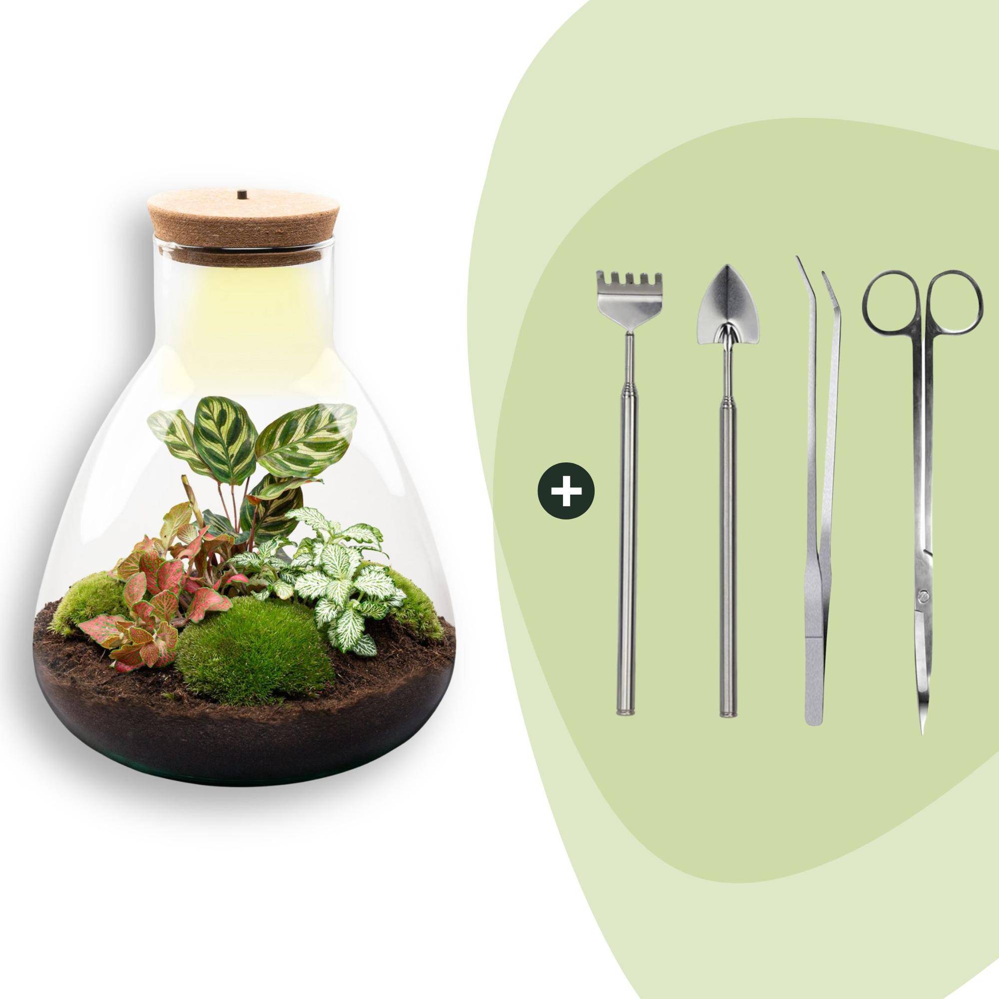 Terrarium à composer bouteille en verre recyclé - Ø24-H30cm - avec kit 4 outils - bouchon LED - Terrarium DIY
