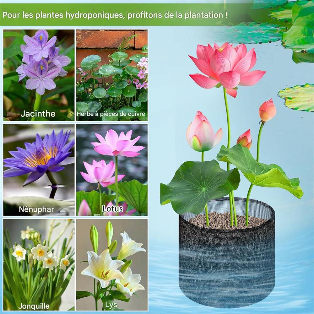 Paniers pour plantes de bassin DtopbuyAge - Image 3