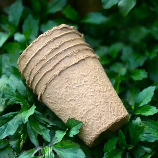 25 pots de semis biodégradables de 8 cm - IntiMeg - Image 4