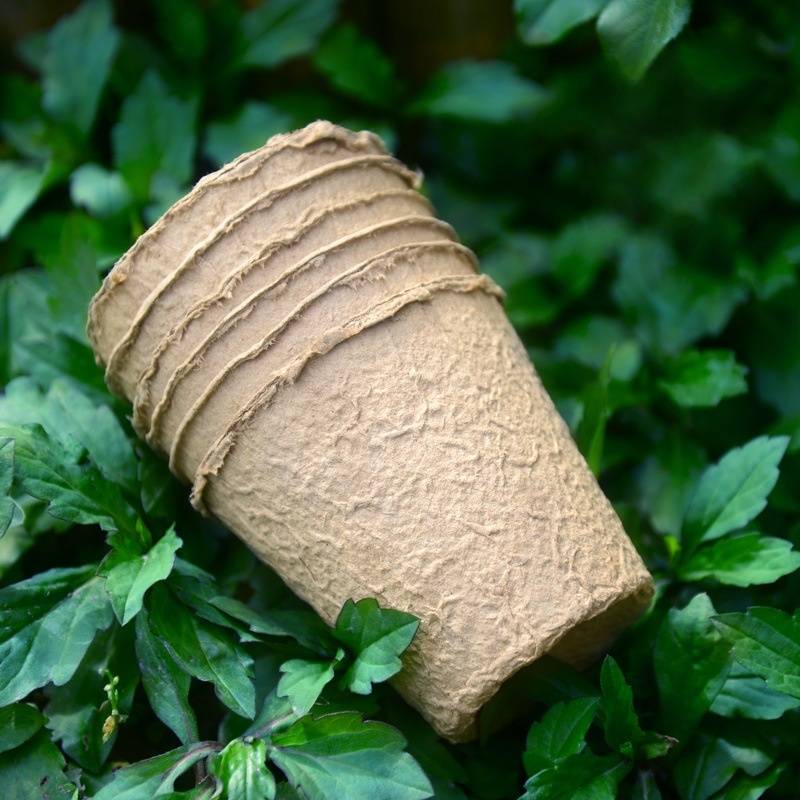 25 pots de semis biodégradables de 8 cm - IntiMeg - Image 4
