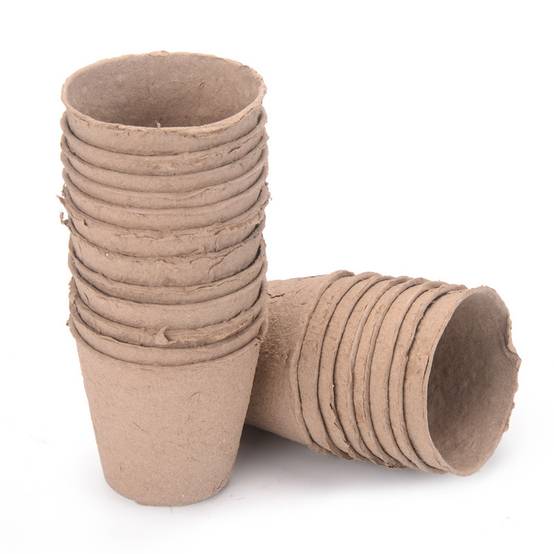 25 pots de semis biodégradables de 8 cm - IntiMeg - Image 1