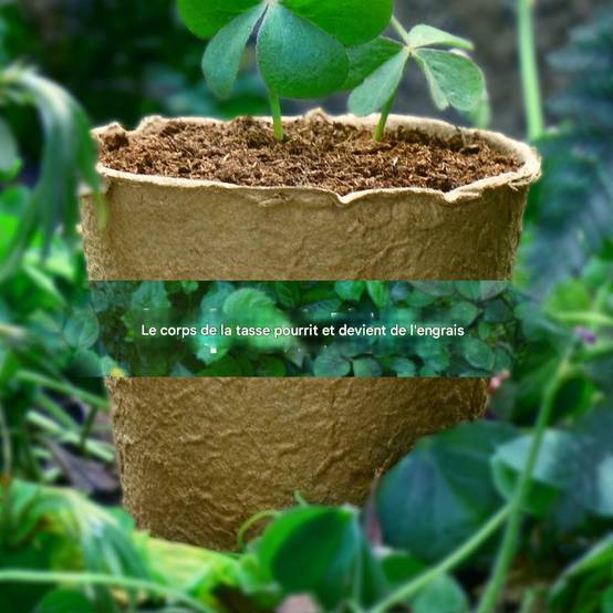 25 pots de semis biodégradables de 8 cm - IntiMeg - Image 5