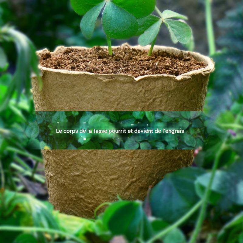 25 pots de semis biodégradables de 8 cm - IntiMeg - Image 5
