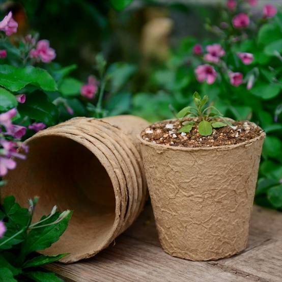 25 pots de semis biodégradables de 8 cm - IntiMeg - Image 2
