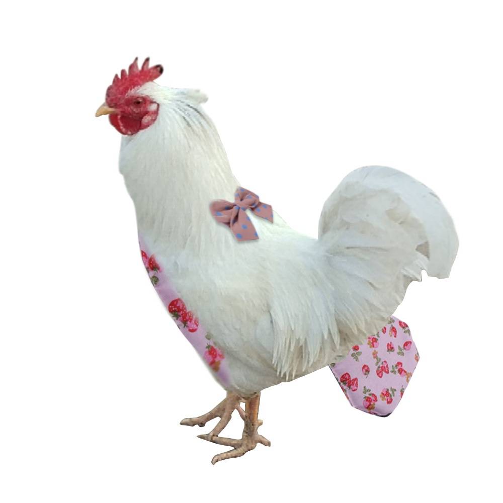 Couches pour canard, poulet et oie S MCBOSON - Image 8