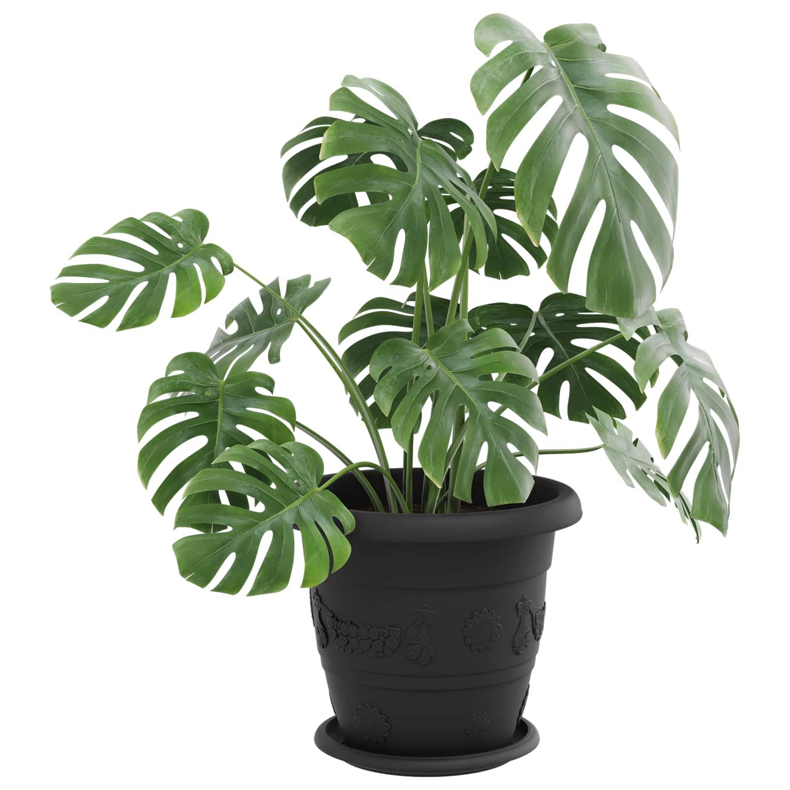 Pots de plantes en plastique noir Ø 26 x 26 x 21.5 cm (6 pièces) - PANGIVO - Image 3