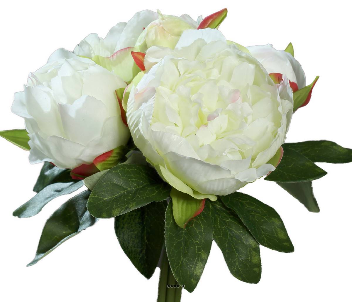 Artificielles - Bouquet de superbes Pivoines crème artificielles Hauteur 20 cm Top - couleur: Crème - Image 2