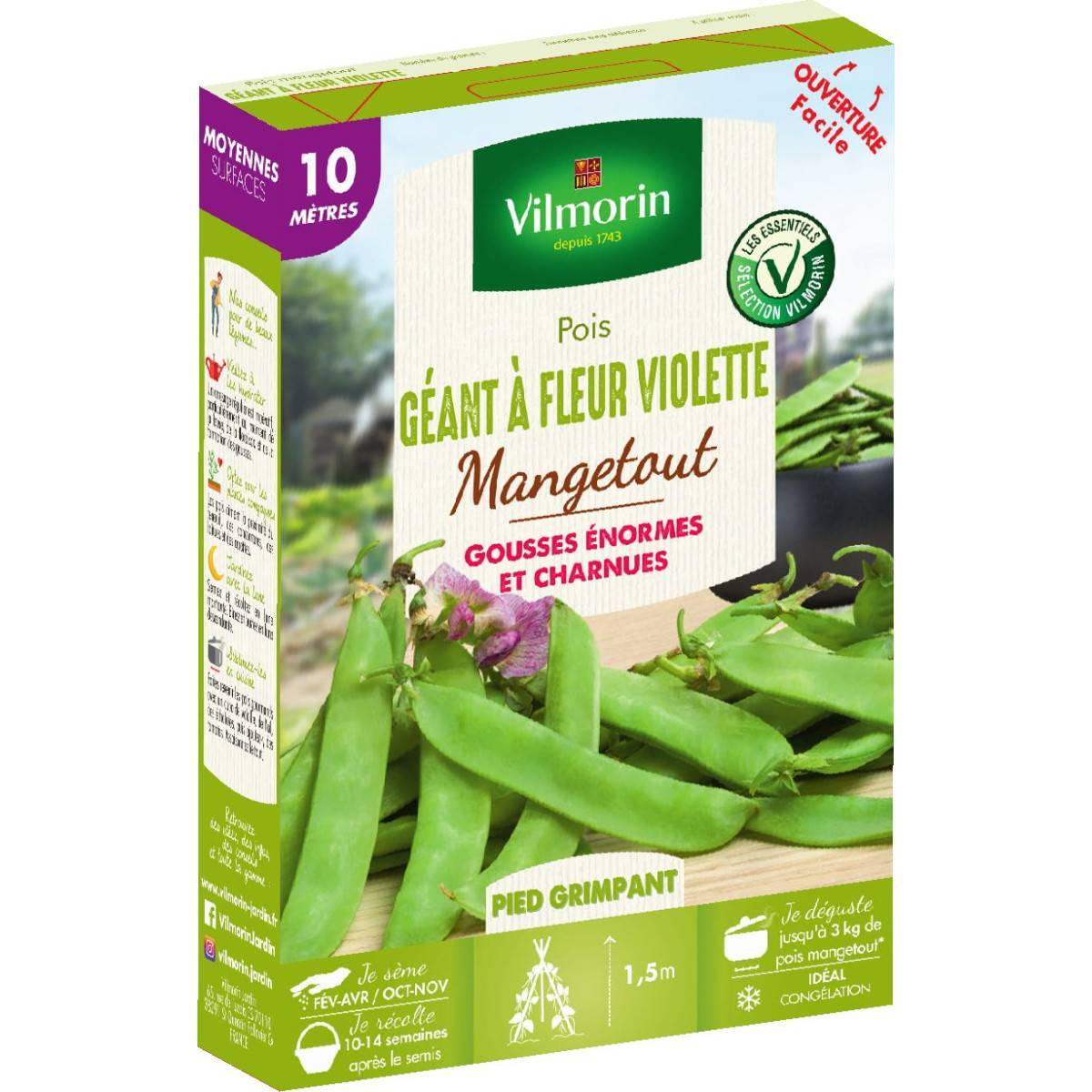 Vilmorin - Sachet graines Pois Géant à fleur Violette 10 mètres - Pisum sativum