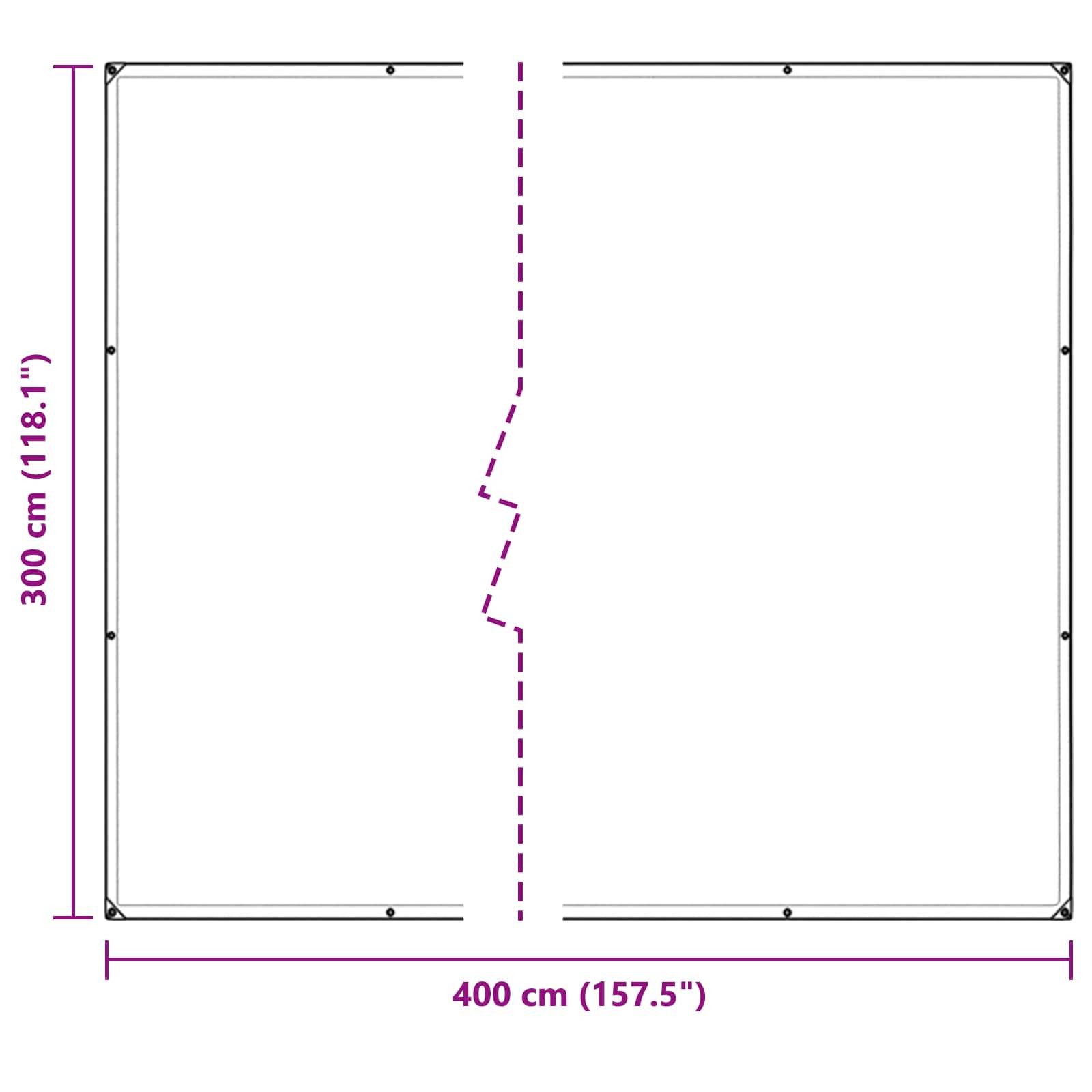 Vidaxl - Couverture pour plantes Transparent 3 x 4 m PE vidaXL 3429275 - Image 3