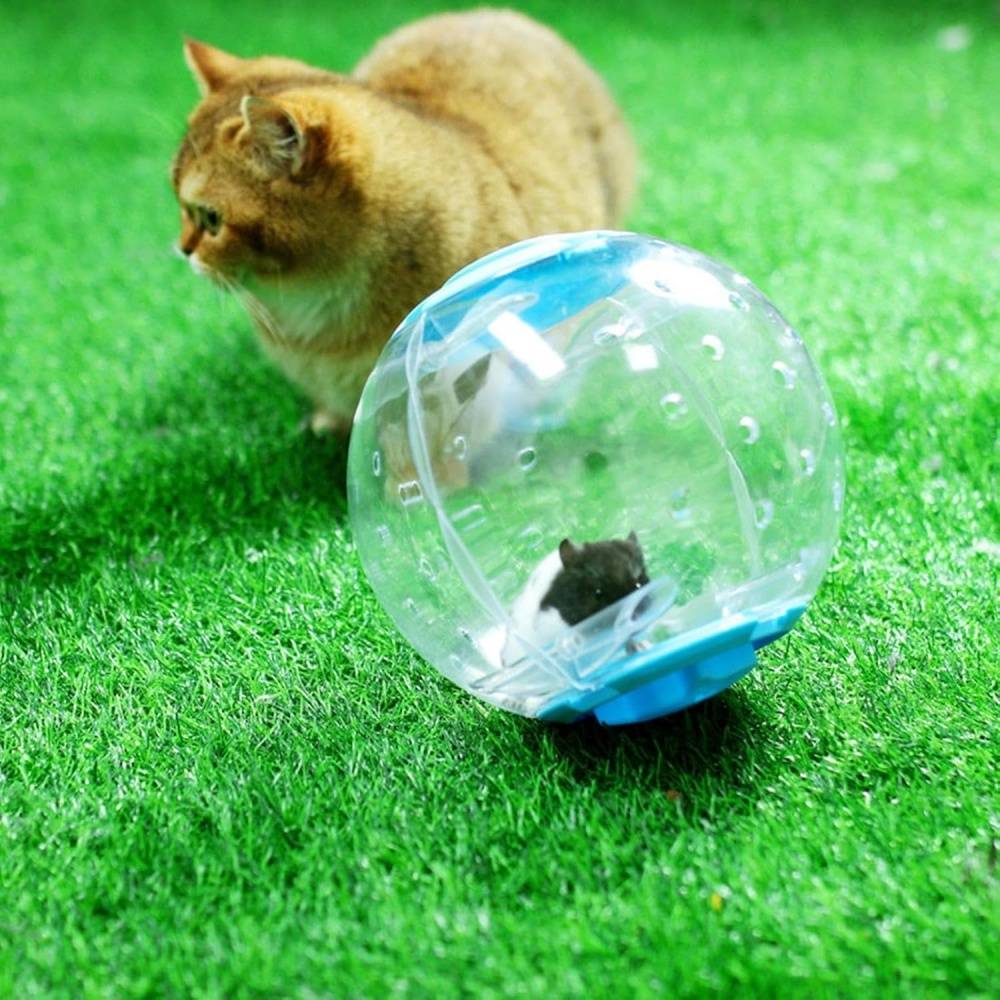 Lytech - Roue D'exercice Pour Hamster Trois Transparente, 3 Couleurs, Ouverture Sécurisée - Lytech - Image 3