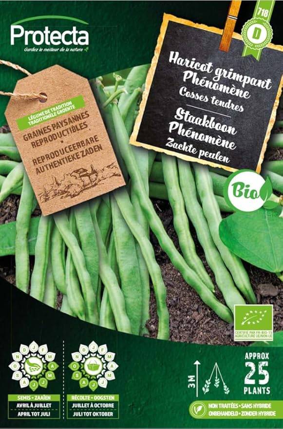 Protecta - Semence Haricot grimpant Phénomène BIO