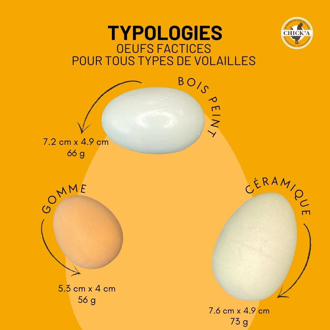 Chick'a - 3 œufs factices en gomme pour poule CHICK'A - Image 3