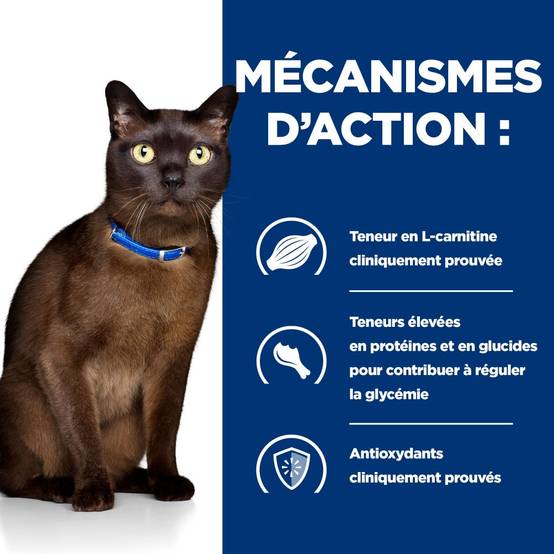 CROQUETTES CHAT ADULT PRESCRIPTION DIETS M/D DIABETES / WEIGHT MANAGEMENT - HILL'S 1,5 kg - Image 4