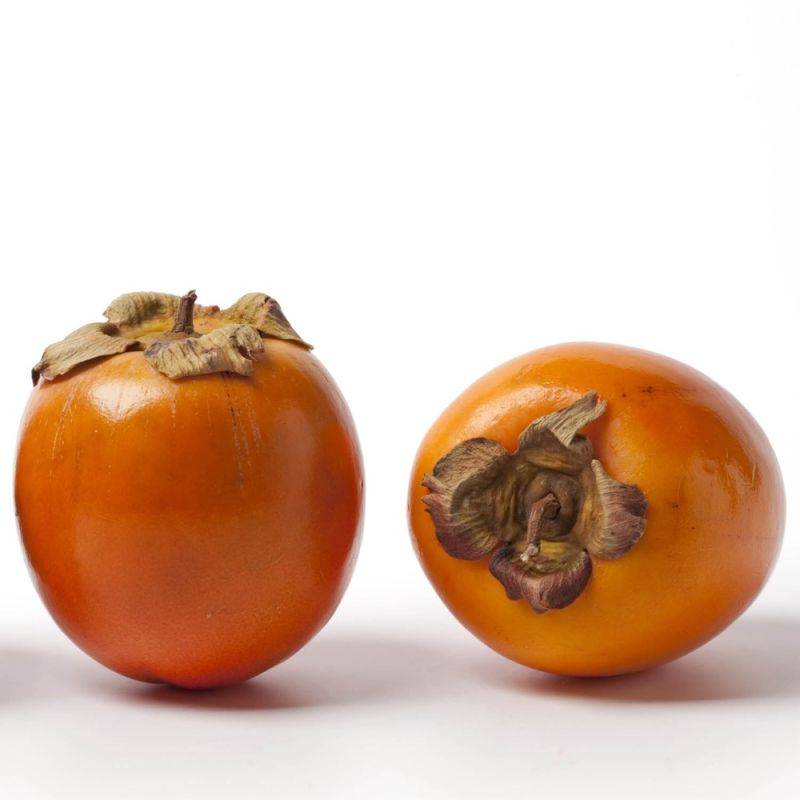 Kaki 'Muscat' (Diospyros kaki 'Muscat') - Scion de 80 à 100cm - Pépinières Naudet - Image 2