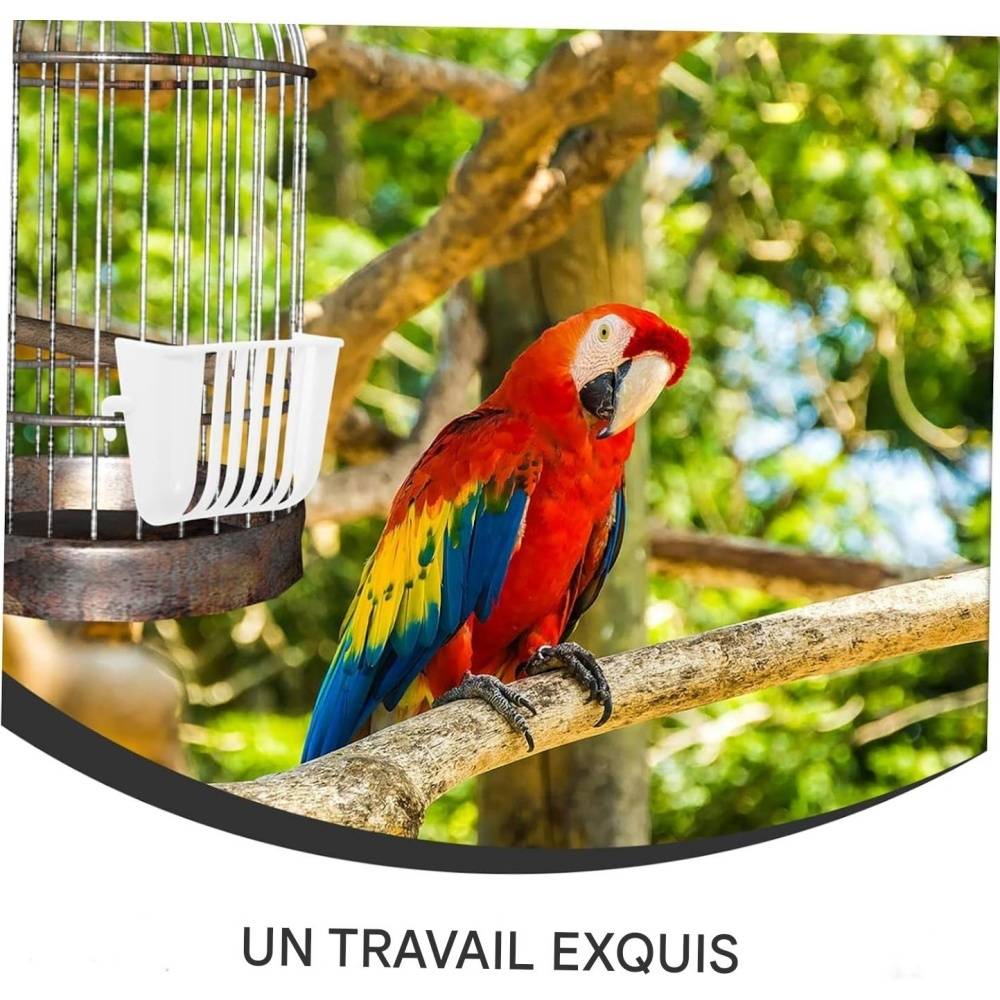 Set de 4 support alimentaire suspendus pour oiseaux - Lytech - Image 2