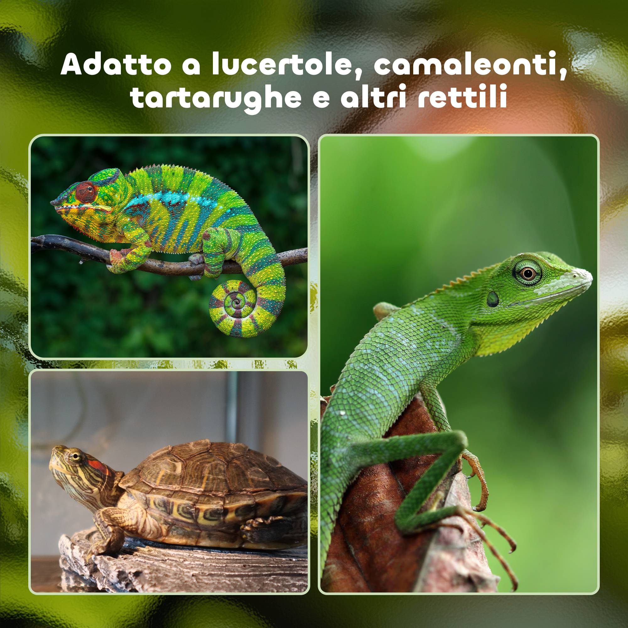 Terrarium Reptiles Acrylique Maison Température Réglable 60x40cm Noir - ComfortXL Outdoor Living - Image 9