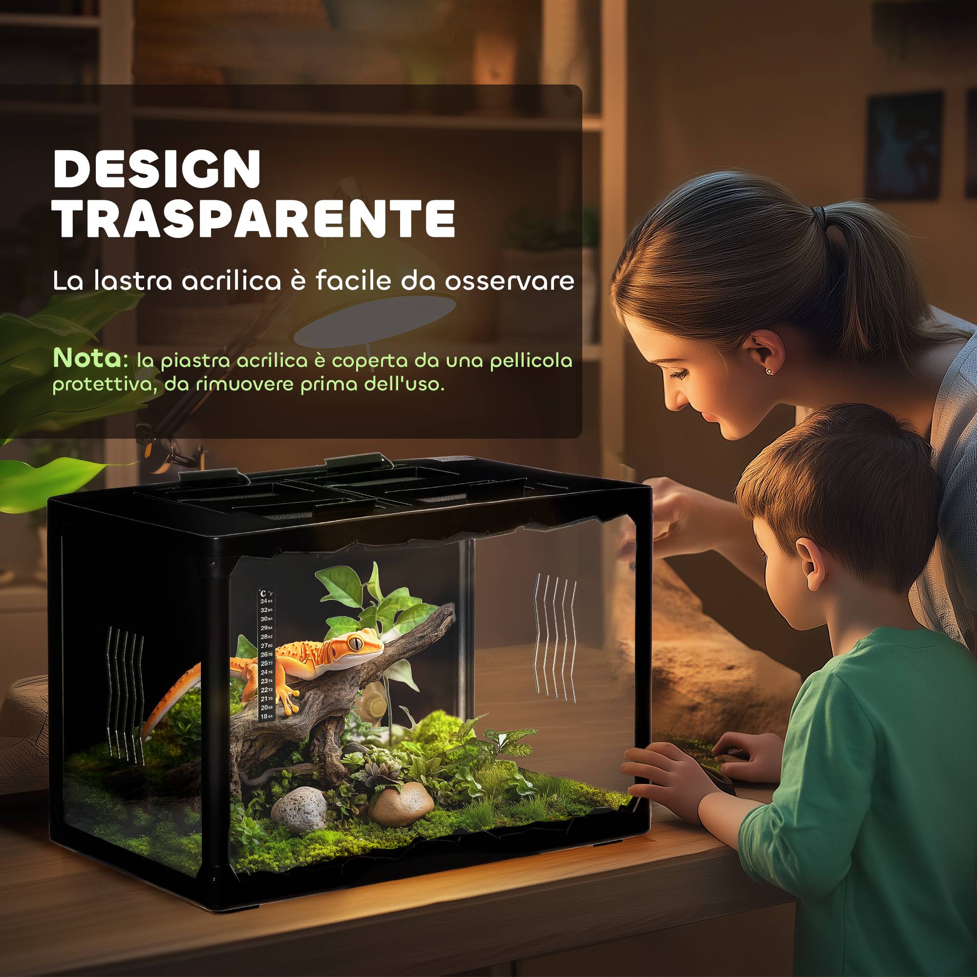 Terrarium Reptiles Acrylique Maison Température Réglable 60x40cm Noir - ComfortXL Outdoor Living - Image 6