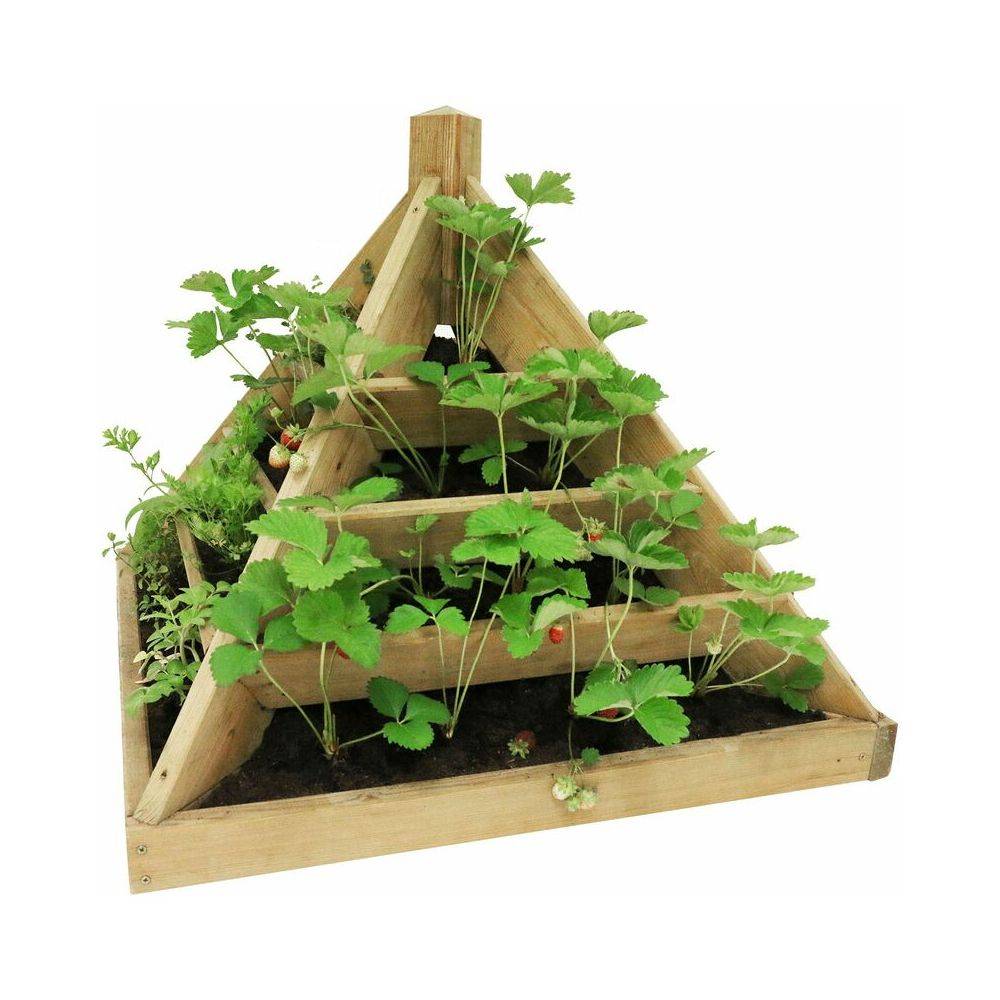 Jardipolys - Carré potager Pyramide 80 cm - Image 3