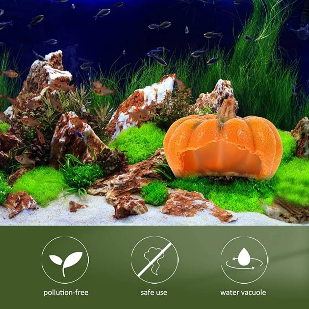 Décor Citrouille Aquarium Cachette Reptile - Image 3