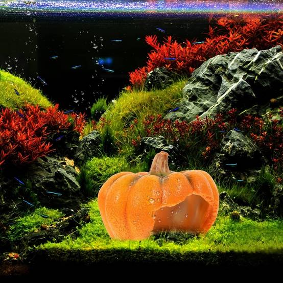 Décor Citrouille Aquarium Cachette Reptile - Image 4