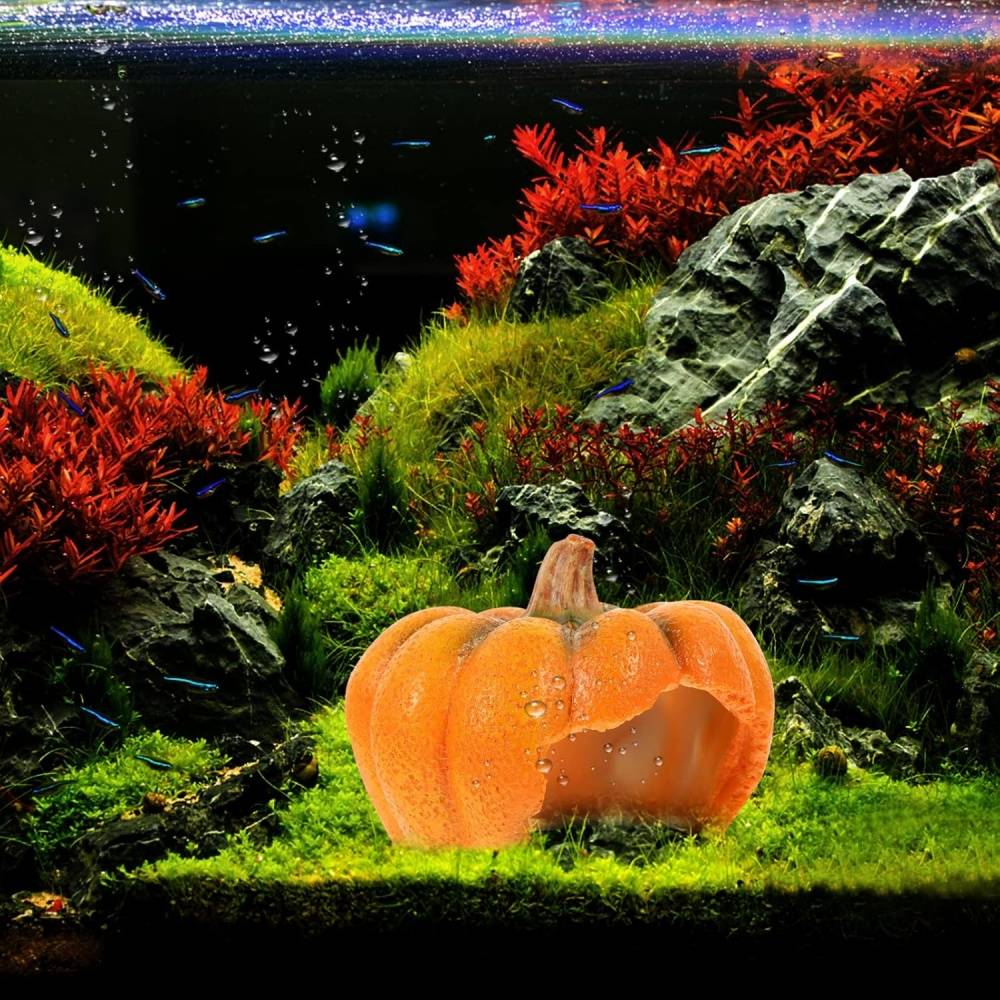 Décor Citrouille Aquarium Cachette Reptile - Image 4