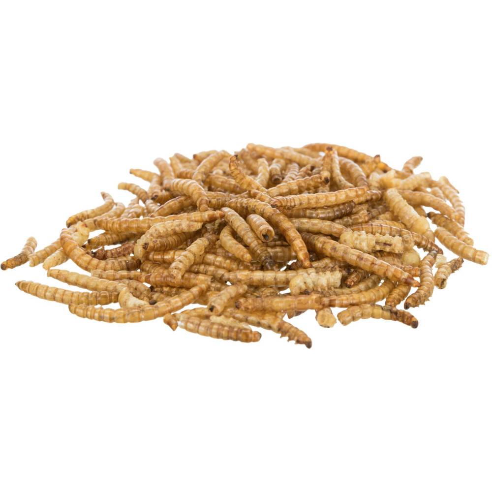 Trixie - Trixie - Larves de vers de farine séchées 70 g - Image 2
