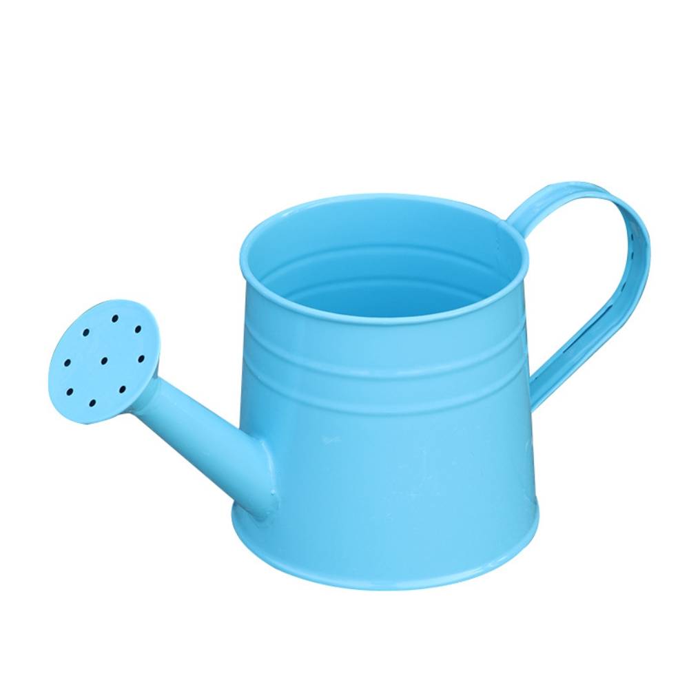 Arrosoir Bleu - IntiMeg - Image 1