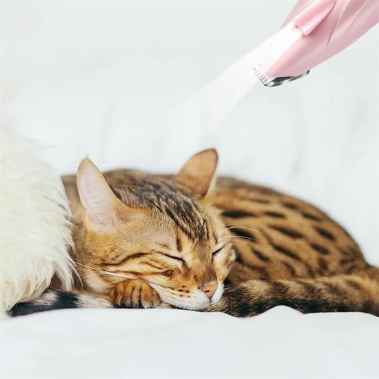DtopbuyAge - Tondeuse pour animaux de compagnie(Rose) DtopbuyAge - Image 5