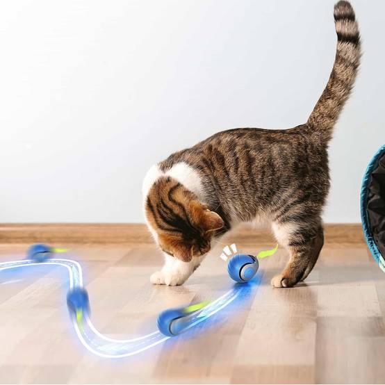 Balle Roulante Automatique - Jouet Chat/Chien DtopbuyAge - Image 3