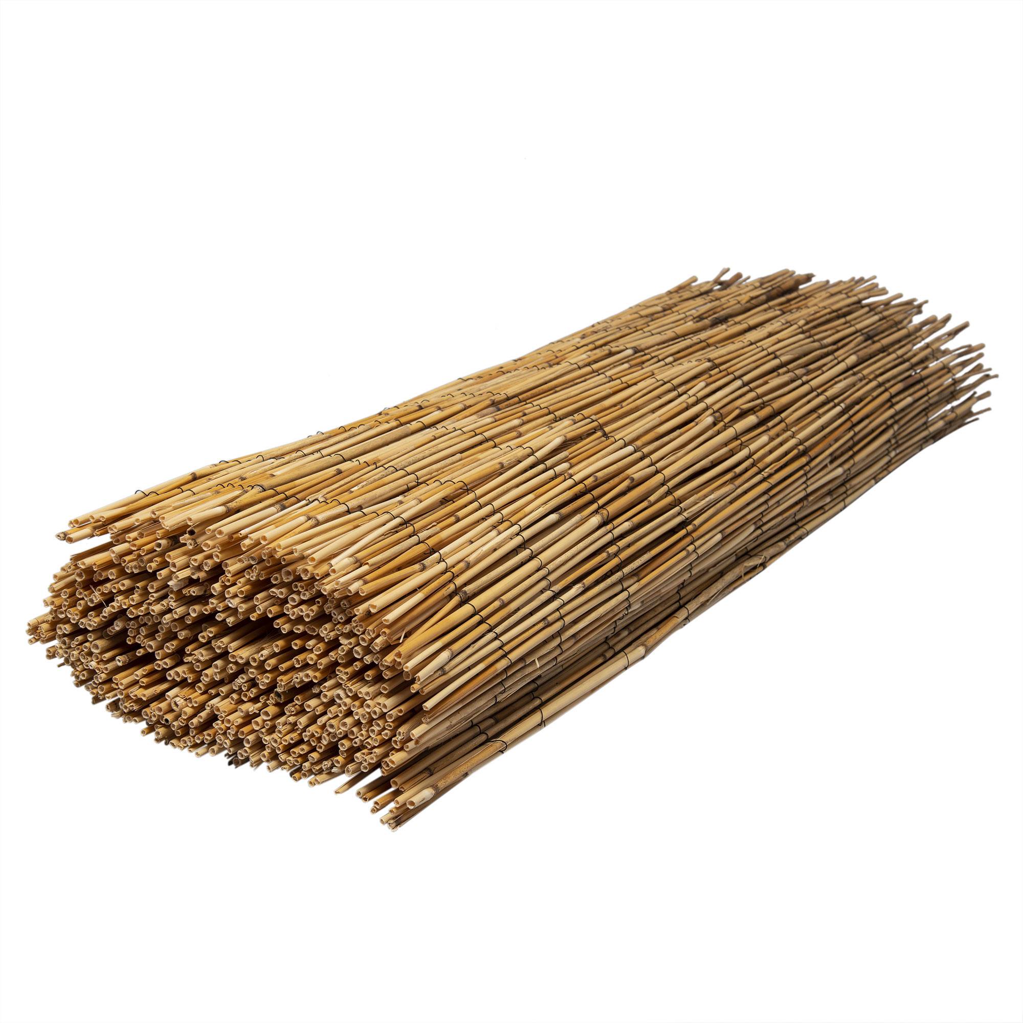 Canisse en roseau naturel WERKA PRO - 2 x 5 m - Image 1
