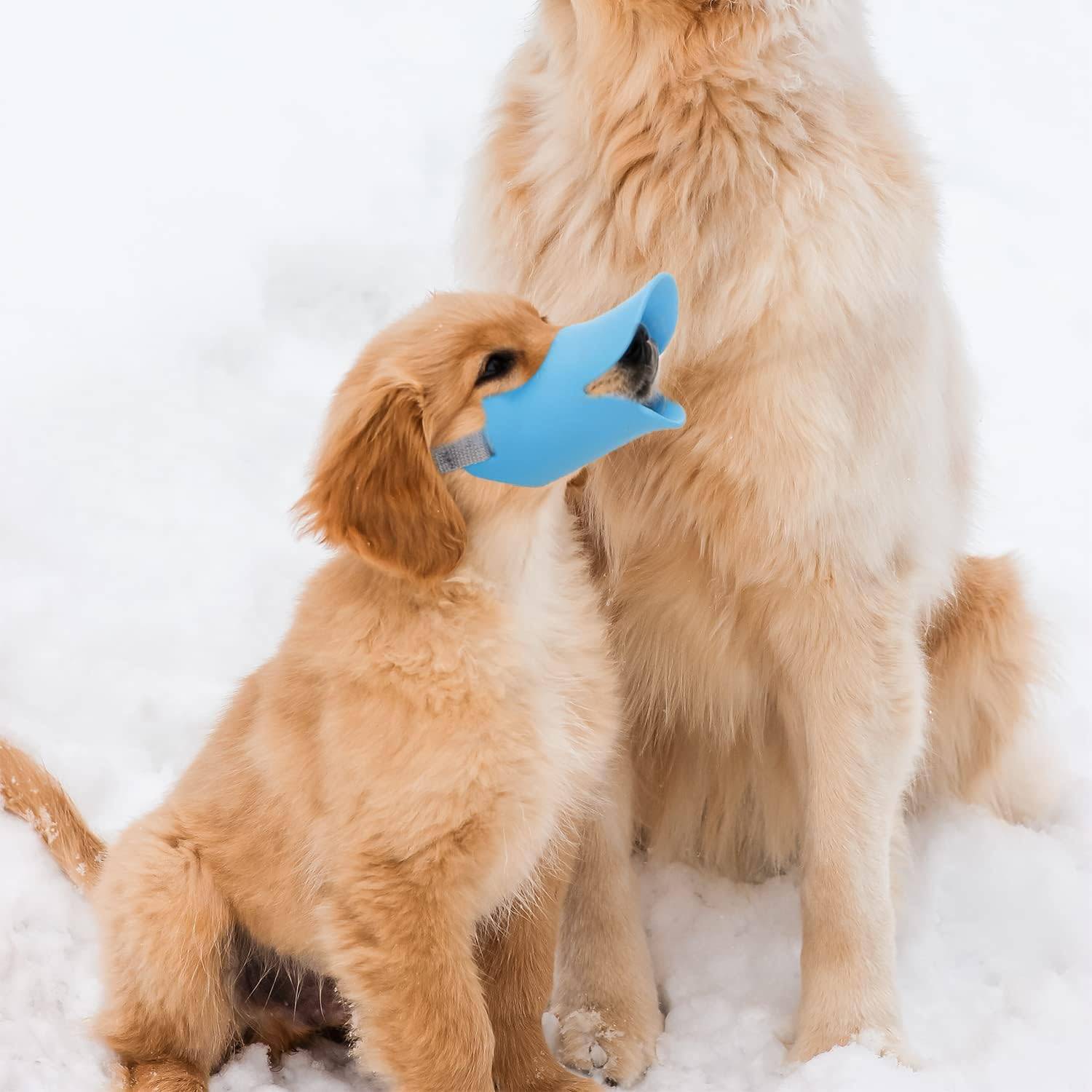 Museau Canin Silicone "Canard" - Anti-Morsure/Aboiements-Living123 - Image 3