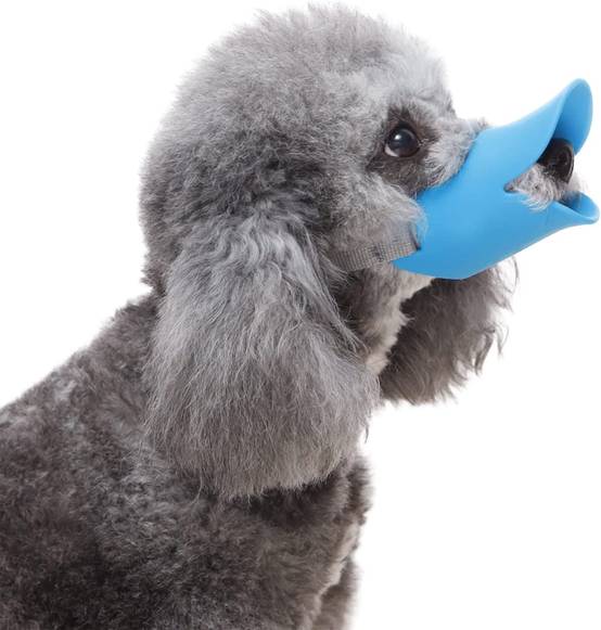 Museau Canin Silicone "Canard" - Anti-Morsure/Aboiements-Living123 - Image 4