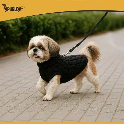 Entrepotbrico - Vêtements pour chien/chat taille L noir Purlov - Image 7