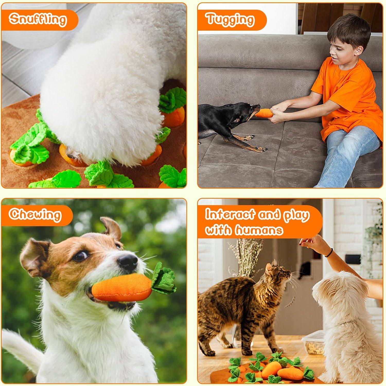 DtopbuyAge - Jouet d'odorat carotte pour chien - Tapis reniflage et mâchouillage DtopbuyAge - Image 5